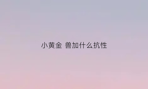 小黄金兽加什么抗性(小黄金兽用什么内丹好)